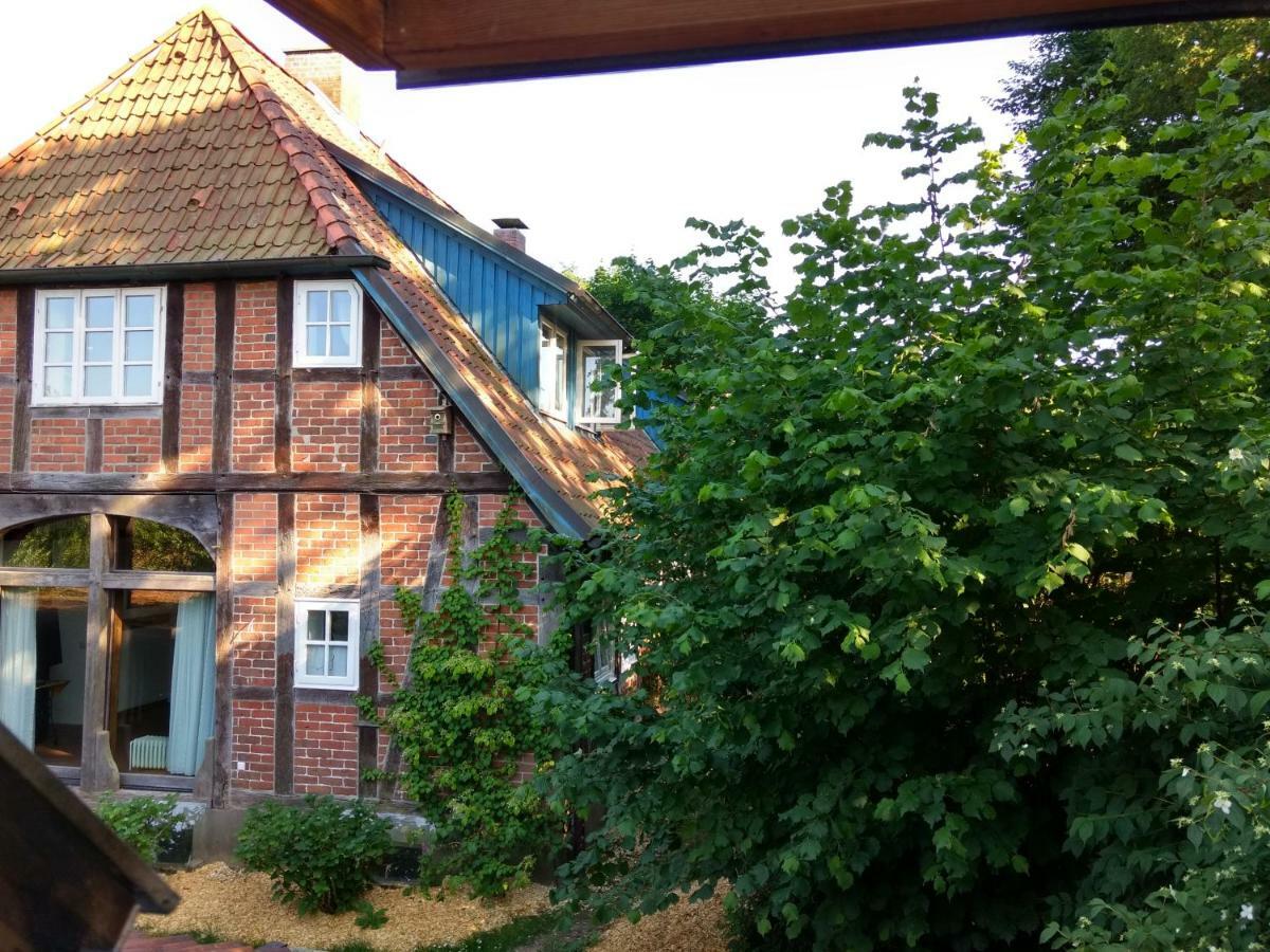 Fewo Haus Patze Betzendorf Екстер'єр фото